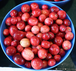 Cranberries are a group of evergreen dwarf shrubs or trailing vines in the subgenus Oxycoccus of the genus Vaccinium.