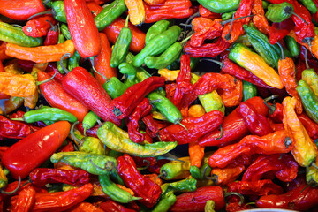 The jalapeno is a medium-sized chili pepper pod type cultivar of the species Capsicum annuum