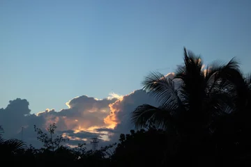 Foto op Aluminium Sonnenaufgang mit Palmen  © Jonathan