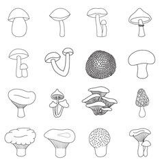 Set of edible mushrooms in doodle style. Porcini mushroom, boletus, chanterelle mushroom, camelina mushroom, russula, morel, truffle, milk mushroom, honey mushroom, champignon, puffball, moss mushroom - obrazy, fototapety, plakaty