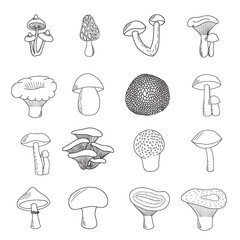 Set of hand drawn edible mushrooms. Porcini mushroom, boletus, chanterelle , camelina , russula, morel, truffle, milk mushroom, honey mushroom, champignon, puffball mushroom, moss 