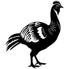 Silhouette turkey on white background. Farm animals collection. Icon