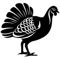 Silhouette turkey on white background. Farm animals collection. Icon