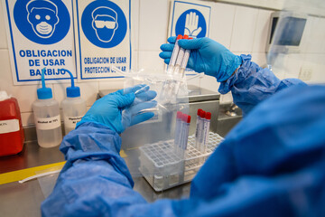 scientist working in laboratory