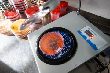 scientist working in laboratory