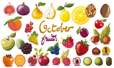 Ensemble de fruits de saison du mois d'octobre. Illustration vectorielle. Graphic design éléments. Fruits pour clipart ou pour illustrations. 