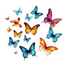 Lichtdoorlatende rolgordijnen Vlinders set of butterflies