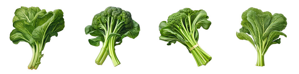 Chinese broccoli  Vegetable Hyperrealistic Highly Detailed Isolated On Plain White Background - obrazy, fototapety, plakaty
