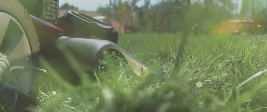 Close-up, low angel shot of cutting grass with electric lawn mower in slow-motion