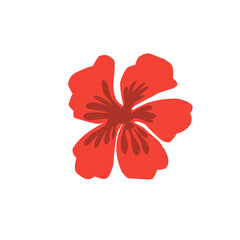 Hibiscus Vector Illustration 