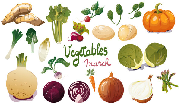 Ensemble de légumes de saison du mois de mars. Illustration vectorielle. Graphic design éléments. Légumes pour clipart ou pour illustrations. 