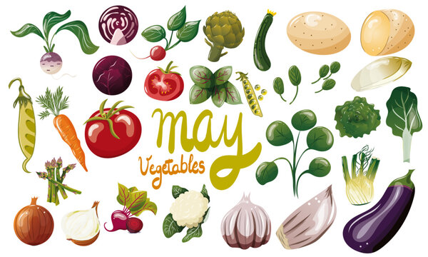Ensemble de légumes de saison du mois de mai. Illustration vectorielle. Graphic design éléments. Légumes pour clipart ou pour illustrations. 