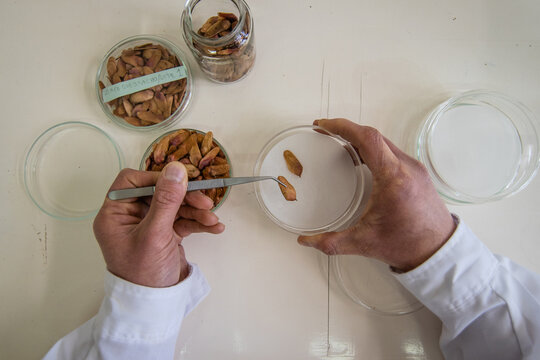 person holding a cup of plant