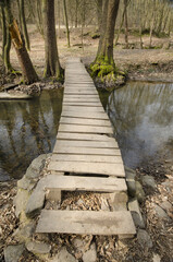 wooden bridge over the river