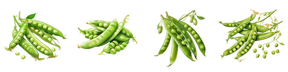 Field peas  Vegetable Hyperrealistic Highly Detailed Isolated On Plain White Background - obrazy, fototapety, plakaty