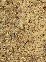 Texture of Dirt