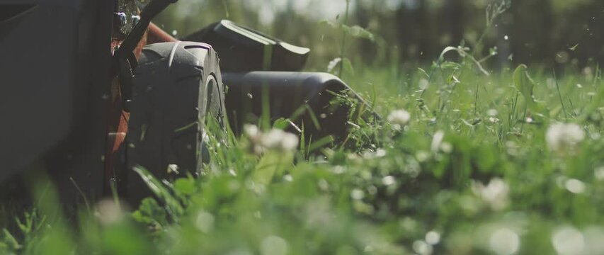 Cutting the grass with the lawn mower, low angle view. Shot on 4K RED cinema camera