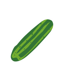 Cucumber Vector Illustration 