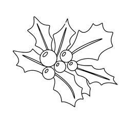 Holly berries in doodle style. Hand drawn holly berry outline isolated on white background. Vector illustration.