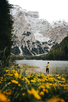 Chico observando las monta&ntilde;as nevadas, en lago con flores amarillas en Dolomitas .
