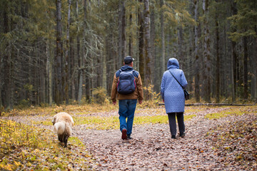 Fototapeta premium Walking with a dog in the autumn park.Dog and man.
