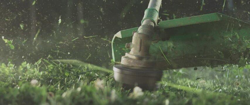 Slow-motion shot of cutting green grass with petrol lawn mower in garden on a sunny day young, close up