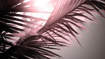 A close up of a palm tree with the sun in the background