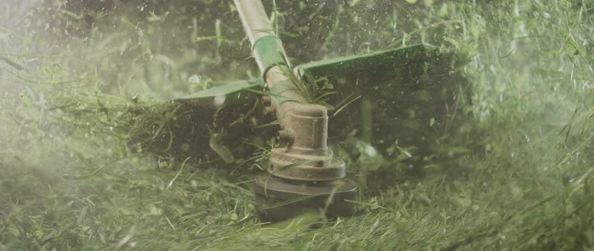 Gardener man mowing the grass, manual lawn mower for cleaning the area. Garden trimmer close-up