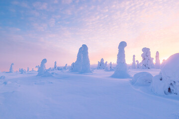 winter landscape with snow