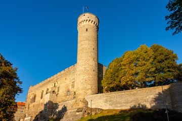Long Herman tower of Tallinn castle, Tallinn, Estonia - obrazy, fototapety, plakaty