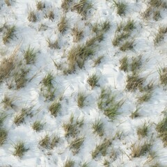 Winter grass seamless repeating tile - 657303525