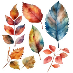 Set of fall leaves, autumn watercolor floral illustration isolated with a transparent background, colorful leaf graphic resource