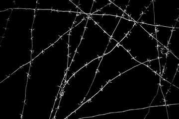 Old security barbed wire isolated on black background. Sharp military security fence. Closeup image. crossed Lines of barbed wire on black background. concentration camp