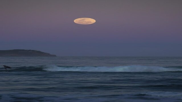 full super blue moon over sea, with people surfing waves, vertical video. Florianopolis, Brasil 