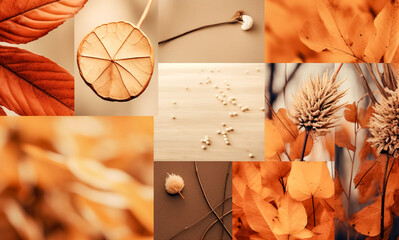 Autumn collage wallpaper of some gorgeous fall nature scenes. Autumn cozy mood. 	