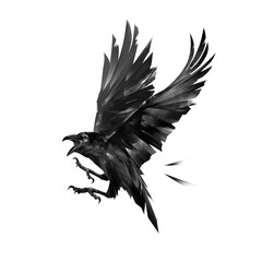 painted raven bird on a white background - 657317786