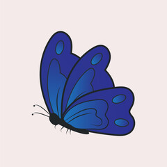 Butterflies fly from the side of the blue color
