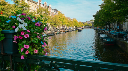 Biało-różowe kwiaty rosnące na moście przechodzącym przez kanał w jednej z dzielnic Amsterdamu. - obrazy, fototapety, plakaty