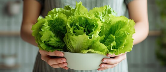 Close up photo of woman hands holding fresh lettuce on full kitchen table of vegetables for salad With copyspace for text
