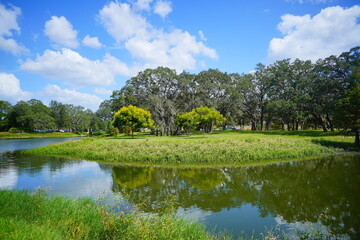 A Florida community pond