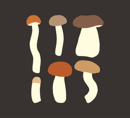  Flat mushroom illustration set. Vector illustration of edible mushrooms. Autumn forest poster