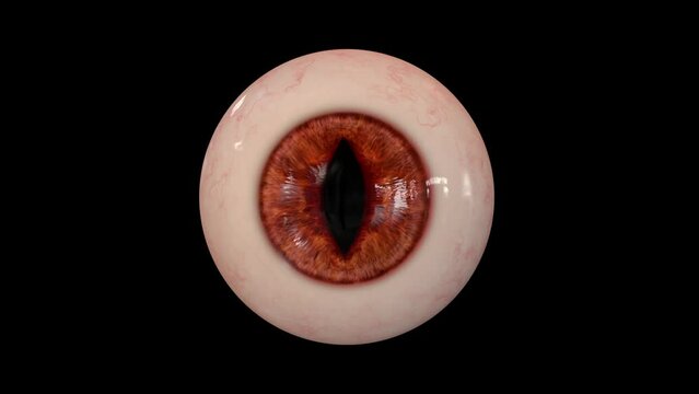 Demon Eye with transparent (alpha) background