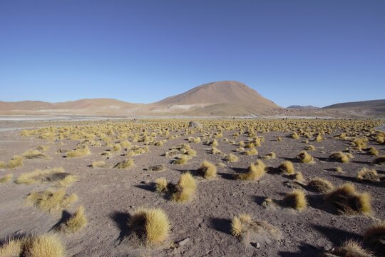 Gaiser del Tatio - San Pedro de Atacama