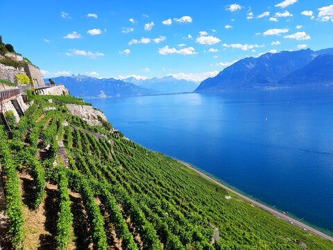 Lavaux, vignobles en terrasse, Suisse