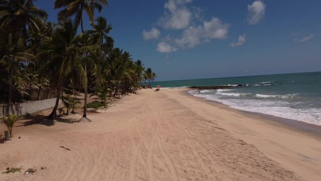 conde coqueirinho beach, sea,  sand and palm trees. Para&iacute;ba brasil