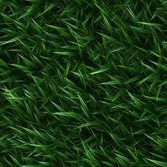 seamless green grass texture