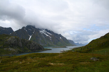 Fototapeta premium On the Road - Lofoten