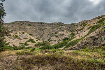 Santa Cruz Island, CA, USA - September 14, 2023: Wall of hills under dark cloudscape behind green wilderness of weeds, bushes and some trees