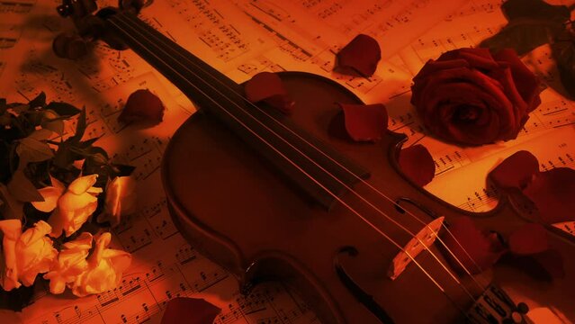 Violin With Flowers In Firelight Performance Concept