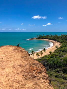view of the sea up in the cliff. Coqueirinho beach, Para&iacute;ba, brasil